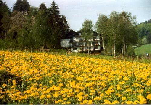 Birkenhof Hotel Wald-Michelbach Buitenkant foto
