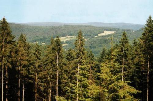 Birkenhof Hotel Wald-Michelbach Buitenkant foto