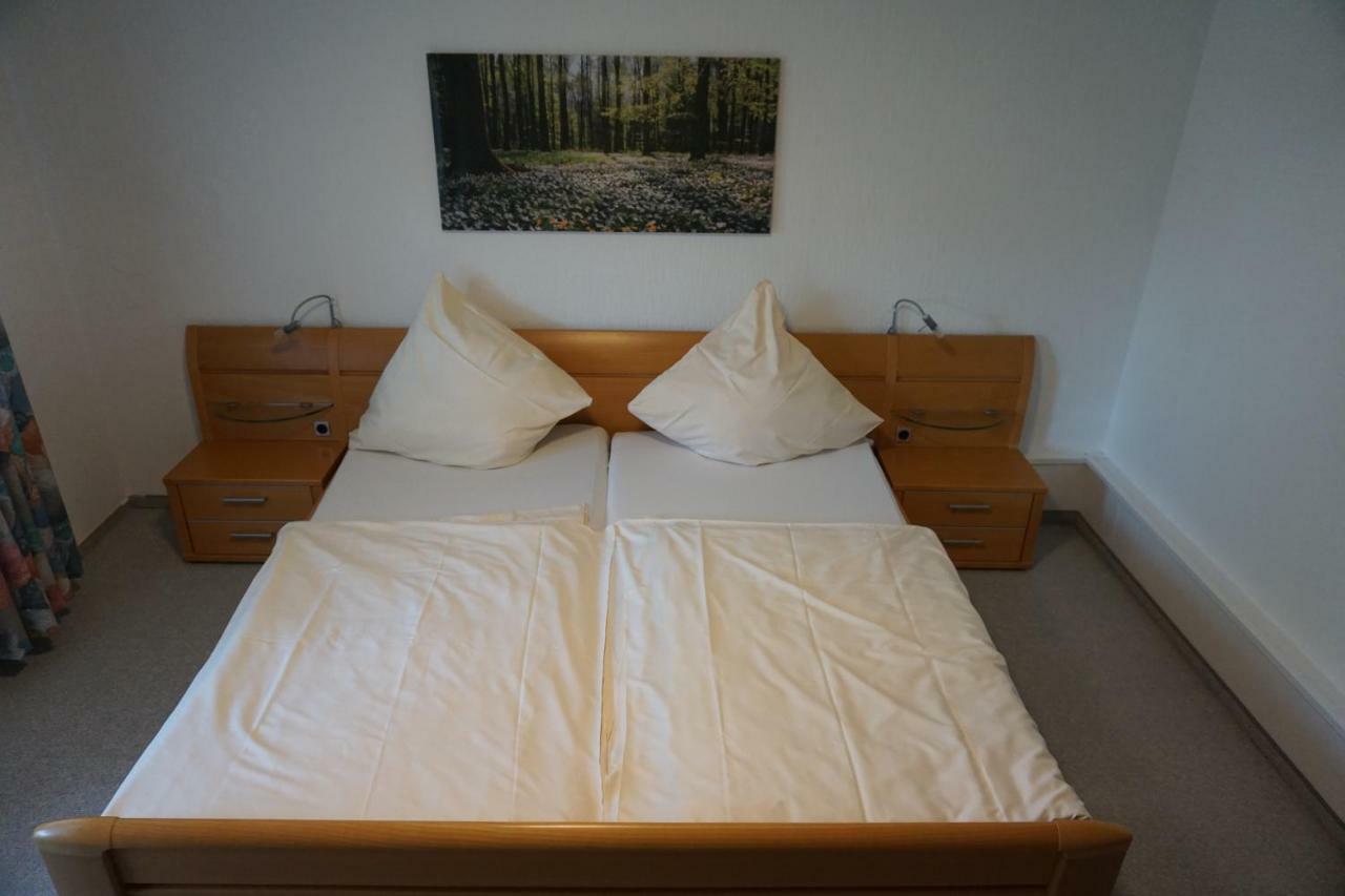 Birkenhof Hotel Wald-Michelbach Buitenkant foto
