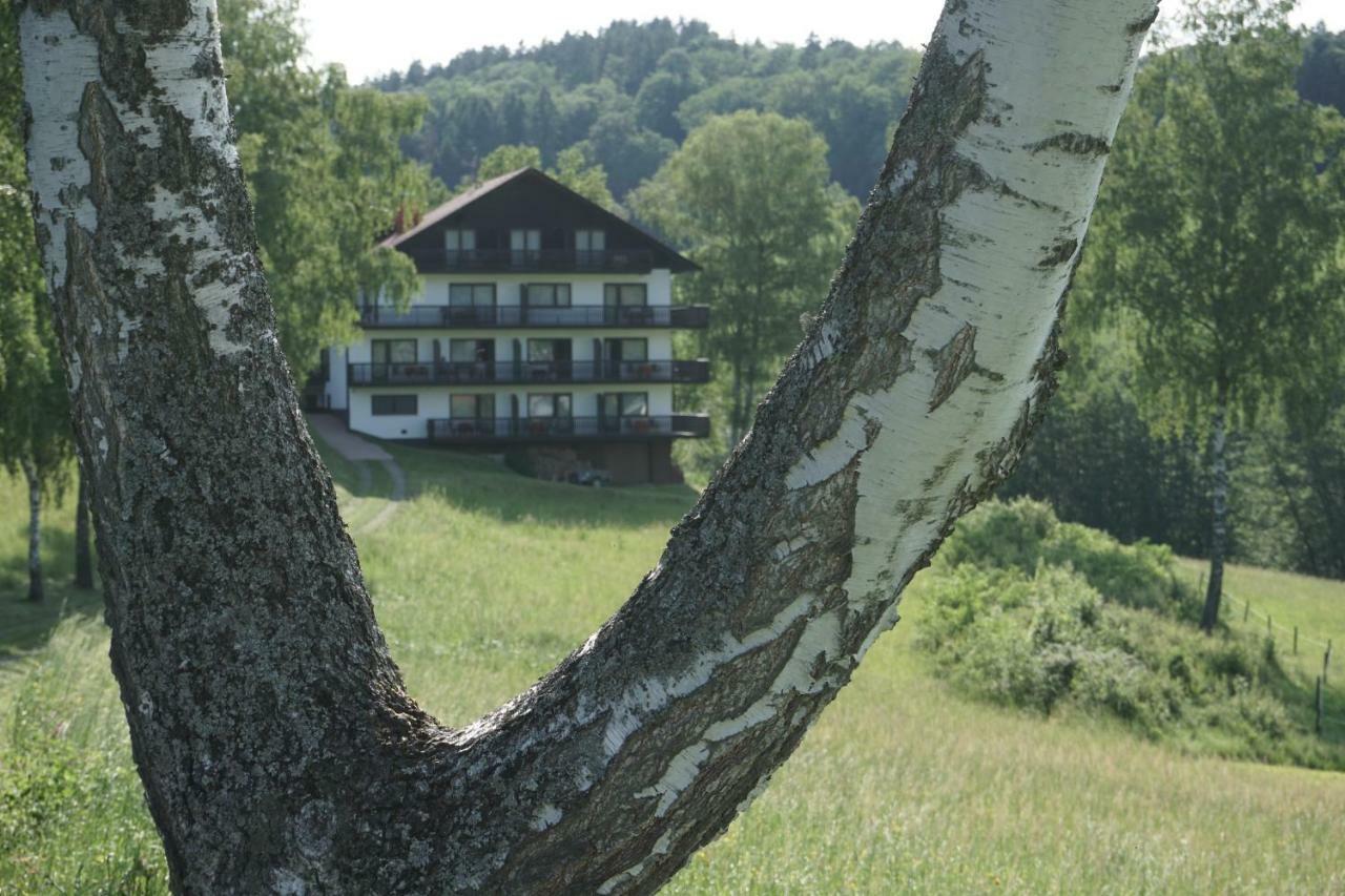 Birkenhof Hotel Wald-Michelbach Buitenkant foto